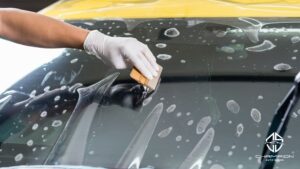 Gloved hand using a small squeegee to press out air bubbles during windshield protection film installation, with water droplets on the film.