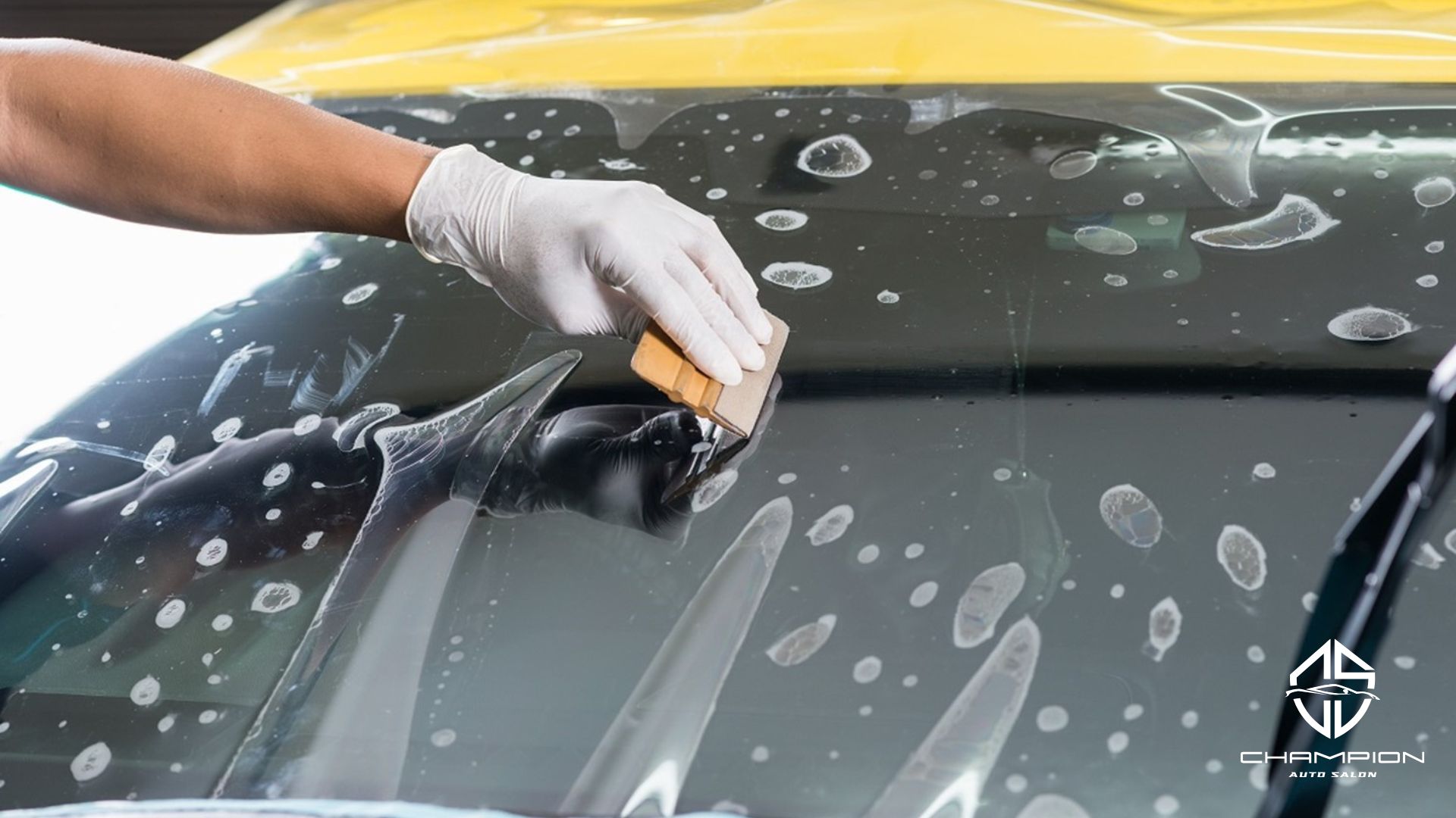 Gloved hand using a small squeegee to press out air bubbles during windshield protection film installation, with water droplets on the film.